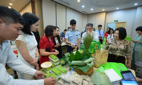 DIỄN ĐÀN HỢP TÁC PHÁT TRIỂN KINH TẾ BẢO VỆ THƯƠNG HIỆU - BẢO VỆ NGƯỜI TIÊU DÙNG NĂM 2024 ACTIV-VCCI